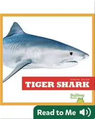 Shark Bites: Tiger Shark