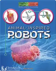 Animal-Inspired Robots