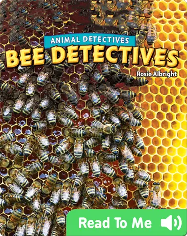 Bee Detectives book