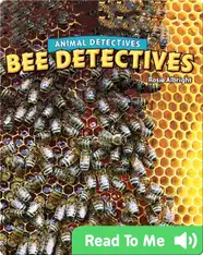 Bee Detectives