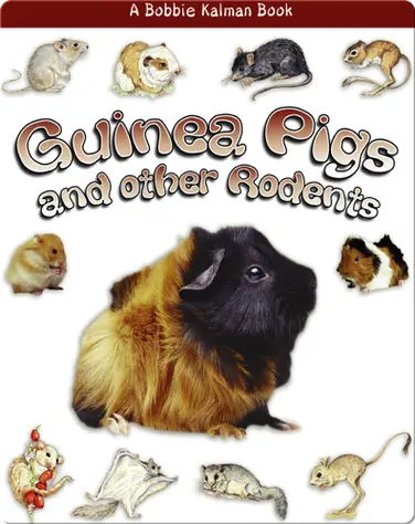 Guinea pigs and other Rodents book
