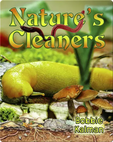 Nature's Cleaners book