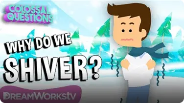 Why Do We Shiver When it’s Cold? | COLOSSAL QUESTIONS book