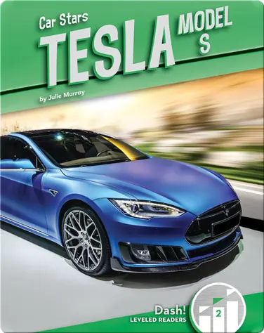 Tesla Model S book