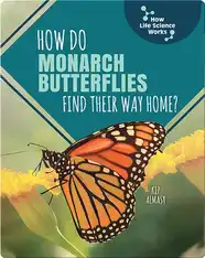 How Do Monarch Butterflies Find Their Way Home?