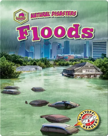 Natural Disasters: Floods book