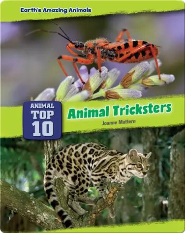 Top Ten Animal Tricksters book