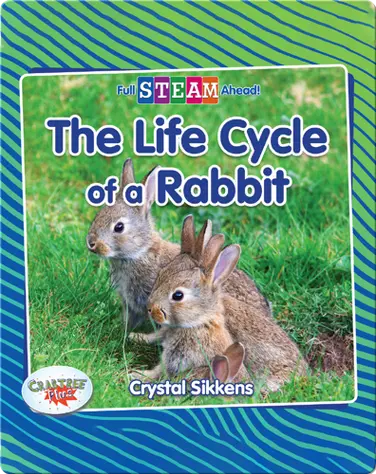Full STEAM Ahead!: The Life Cycle of a Rabbit book