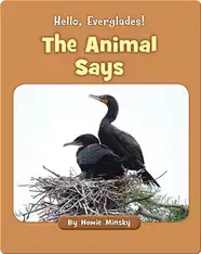 Hello, Everglades!: The Animal Says