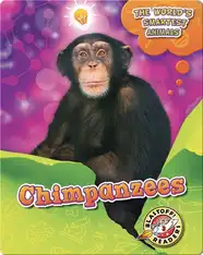 The World's Smartest Animals: Chimpanzees