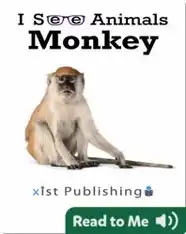 I See Animals: Monkey