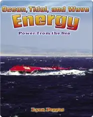 Ocean, Tidal, and Wave Energy: Power from the Sea