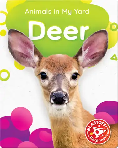 Animals in My Yard: Deer book