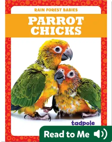 Rain Forest Babies: Parrot Chicks book