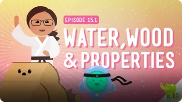 Crash Course Kids: Water, Wood, and Properties book