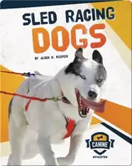 Canine Athletes: Sled Racing Dogs