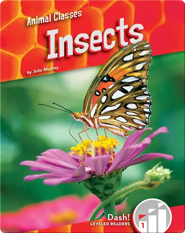 Animal Classes: Insects book