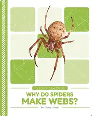 Science Questions: Why Do Spiders Make Webs?