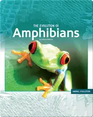 The Evolution of Amphibians