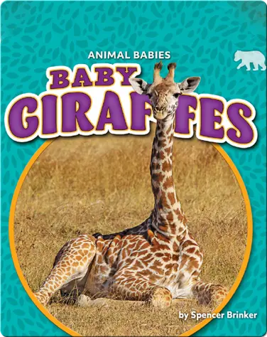 Animal Babies: Baby Giraffes book