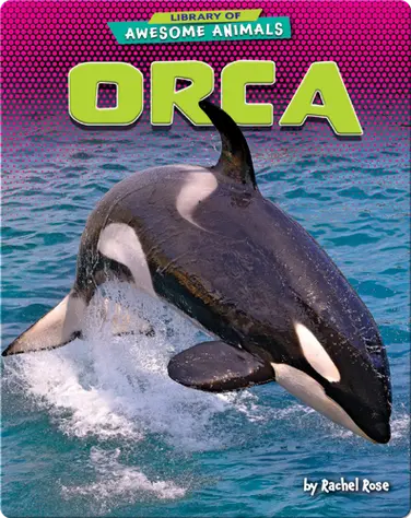 Awesome Animals: Orca book