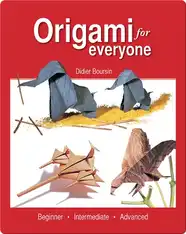 Origami for Everyone