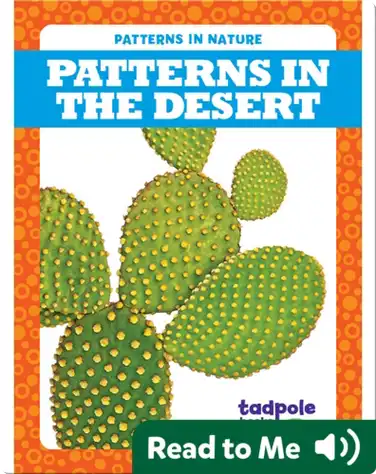 Patterns in the Desert book