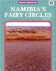 Nature's Mysteries: Namibia's Fairy Circles