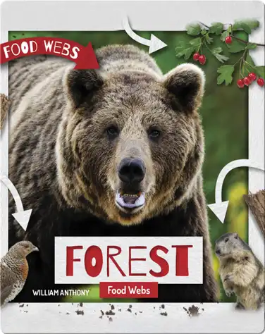 Forest Food Webs book