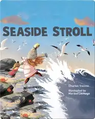 Seaside Stroll
