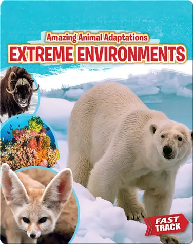 Amazing Animal Adaptations: Extreme Environments book