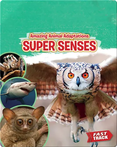 Amazing Animal Adaptations: Super Senses book