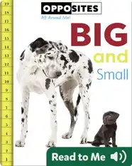 Opposites: Big and Small