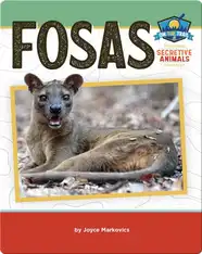 Study of Secretive Animals: Fosas