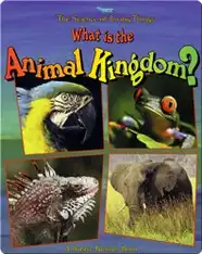 What is the Animal Kingdom?