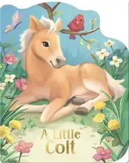 A Little Colt