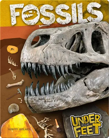 Under Our Feet: Fossils book