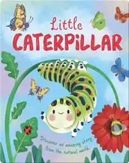 Little Caterpillar