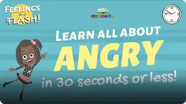 Feelings in a Flash: Angry book