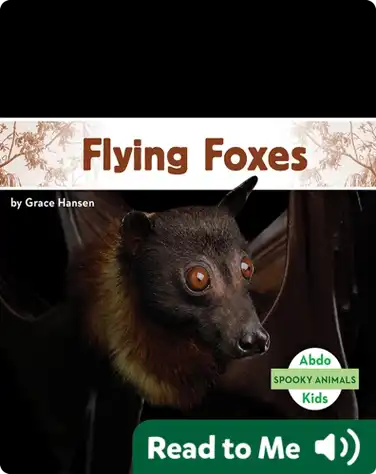 Spooky Animals: Flying Foxes book