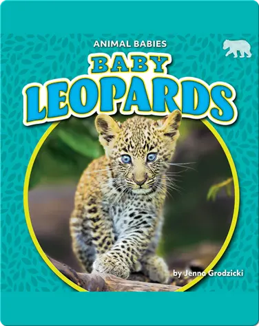 Animal Babies: Baby Leopards book