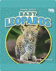 Animal Babies: Baby Leopards
