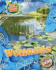 Our Planet Earth: Wetlands