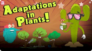 The Dr. Binocs Show: Adaptations In Plants book