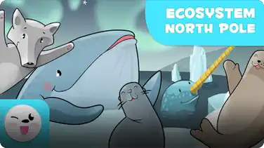 Kolitas Nature: The North Pole book