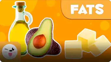 Healthy Eating: Fats book