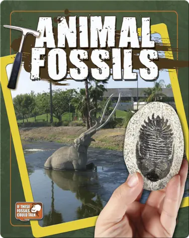 Animal Fossils book