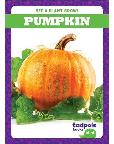 See a Plant Grow!: Pumpkin book