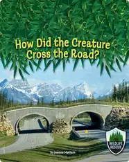 How Did the Creature Cross the Road?