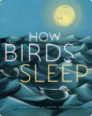 How Birds Sleep